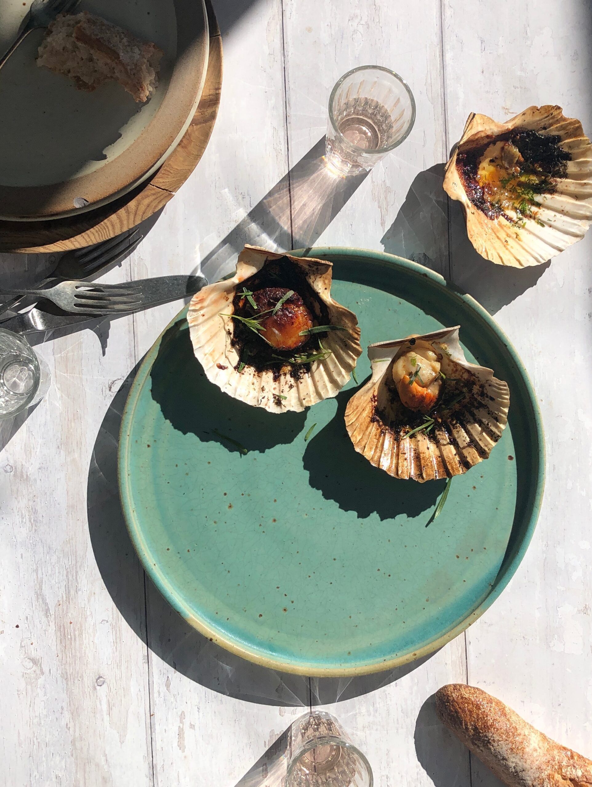 Scallops