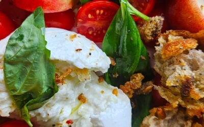 Peach panzanella