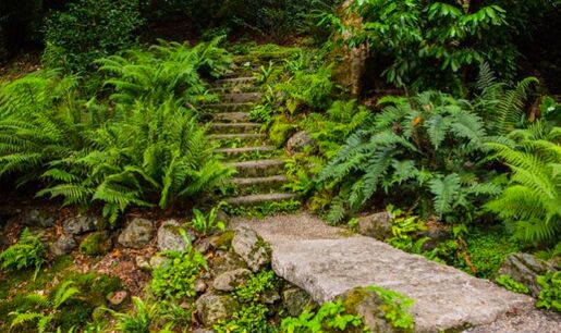 gardens_for_web