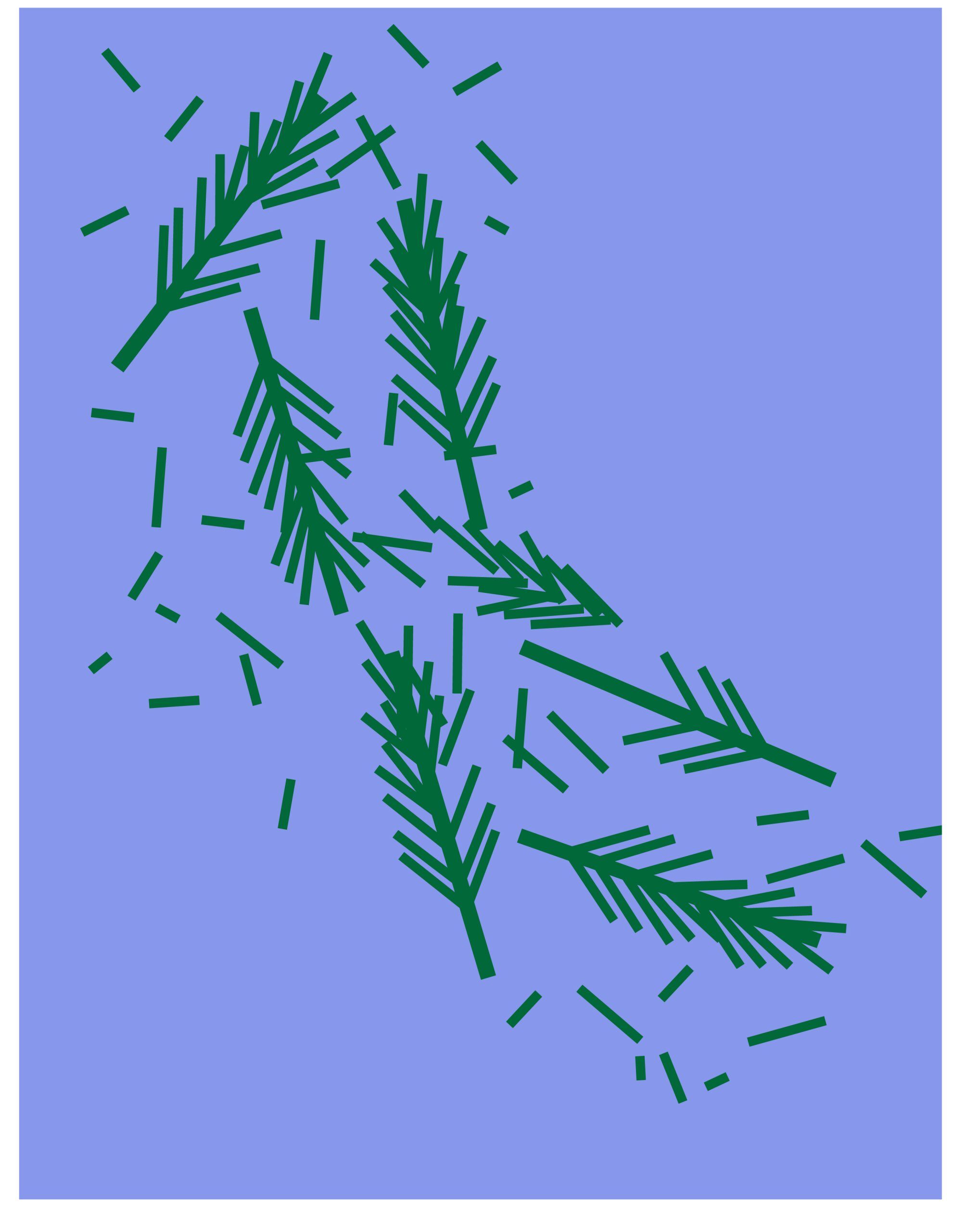 Rosemary3 (1)