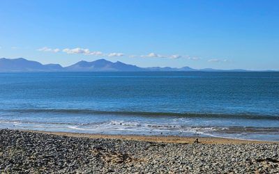 Celebrating the sea: how we can all protect the waters we love
