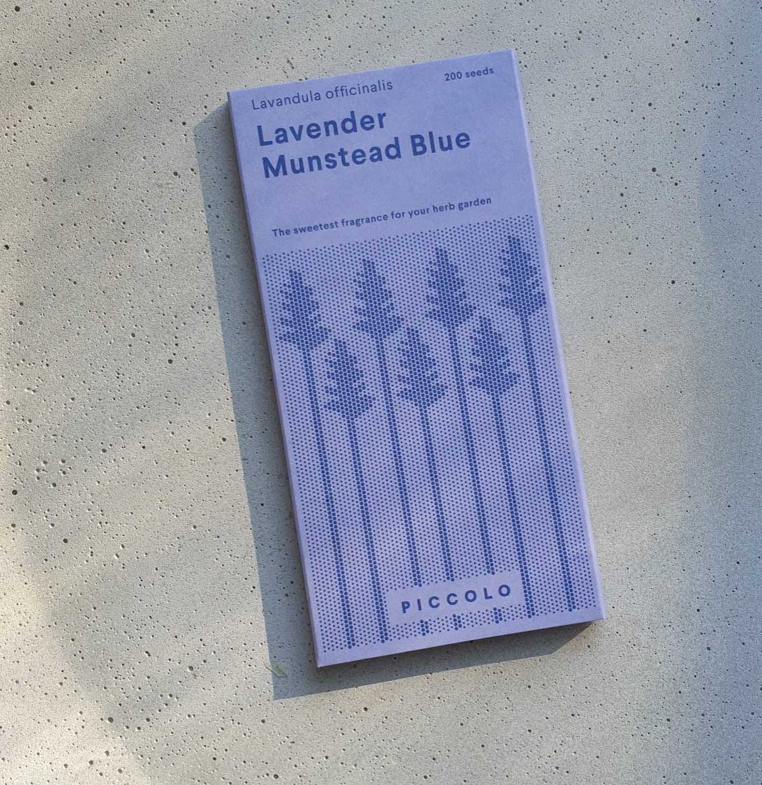 Seeds: Lavender Munstead Blue