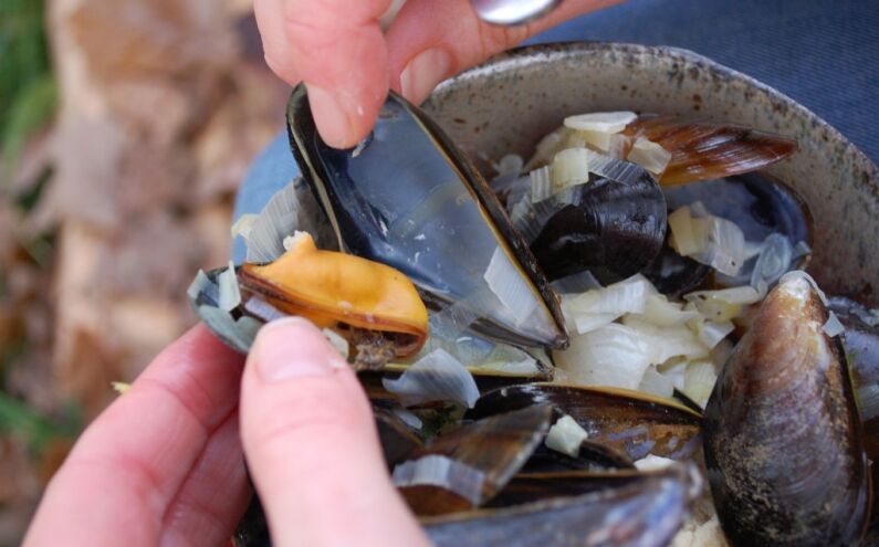 One_mussel