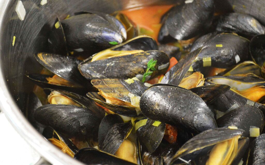 Mussels