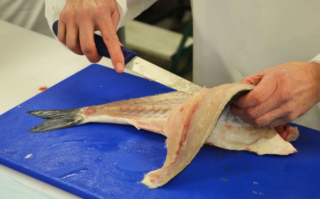 filleting