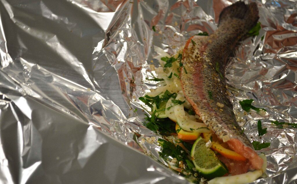 trout