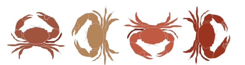cornish_crab
