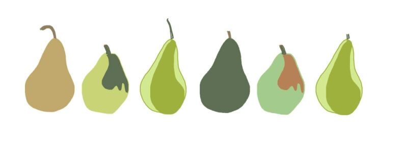 pears