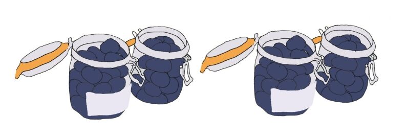 Bottled_plums