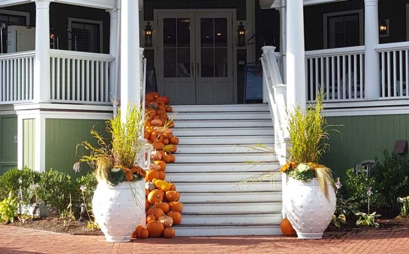 pumpkins