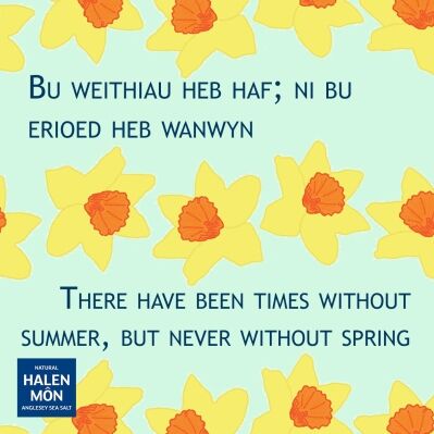 Summer_spring
