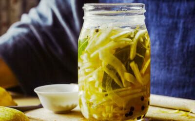 Quick-Pickled Fennel with Lemon Zest + Bay