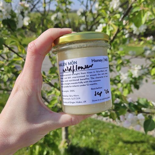 Welsh wildflower honey 250g