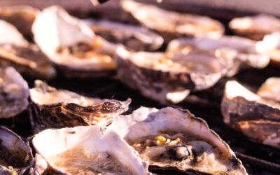 Grilled oysters in smoky spiced garlic butter