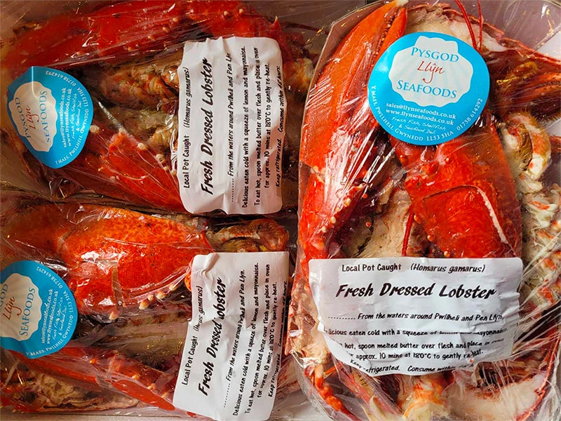 dressed_lobster Dressed and packaged lobster