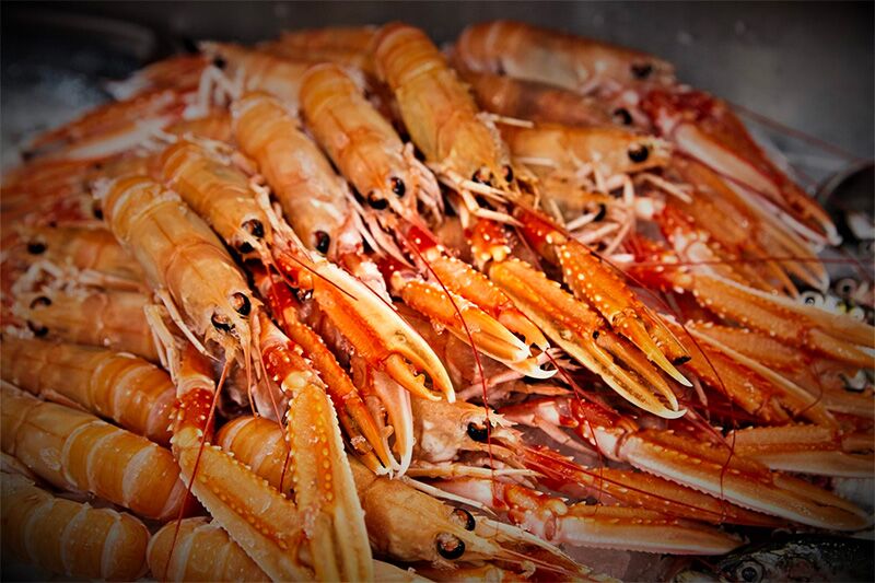 lobsters