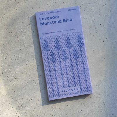 Seeds: Lavender Munstead Blue