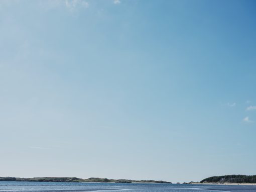 Gift Pure Sea Salt Subscription - Image 3