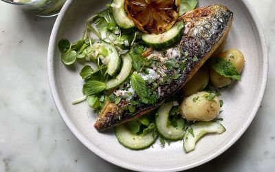 BBQ mackerel with quick pickled cucumbers and charred lemon salad