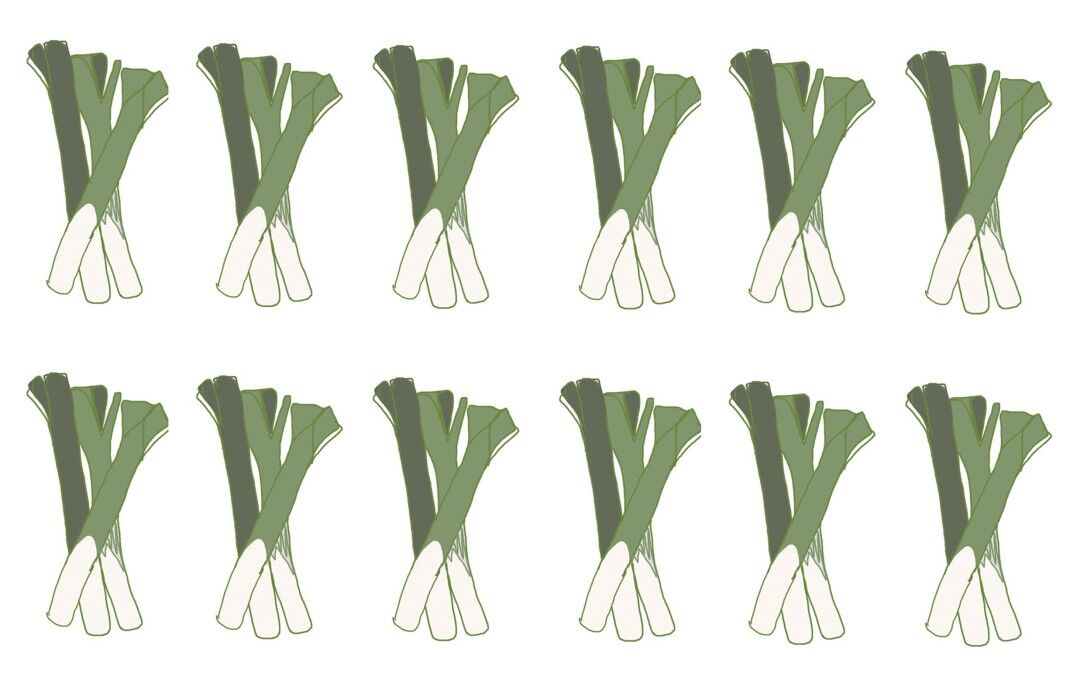 5 Welsh Proverbs for St David’s Day