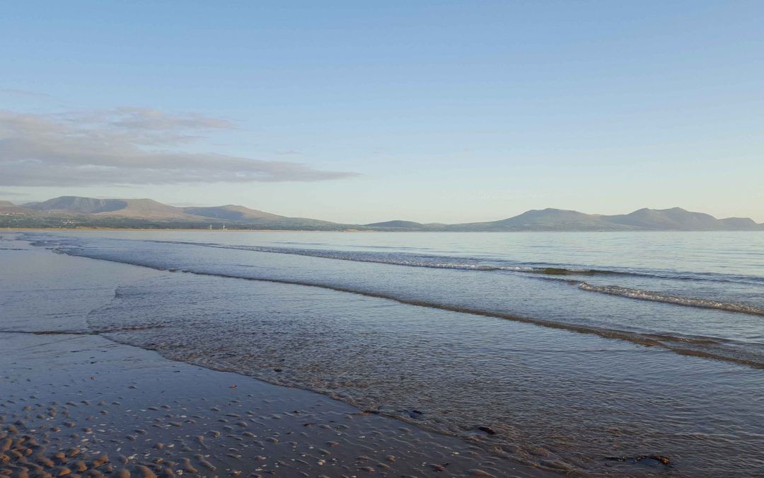 ‘Smoked water from Wales is taking the culinary world by storm’