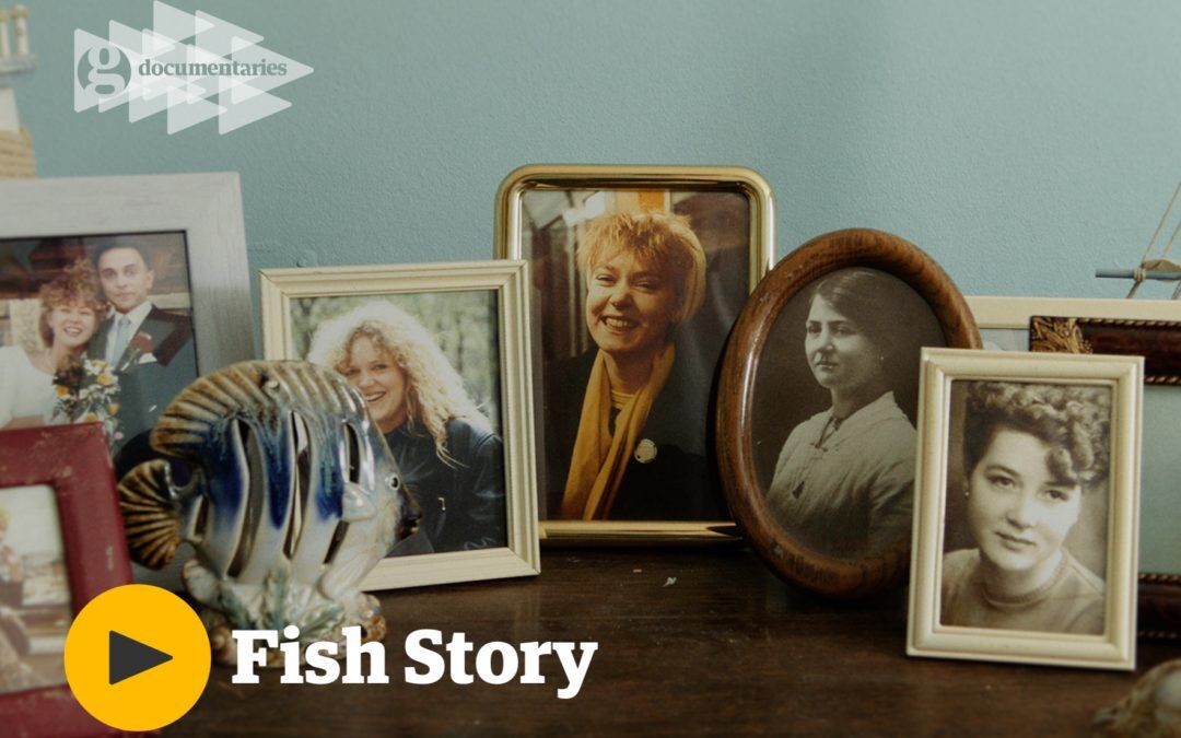 Video: Fish Story