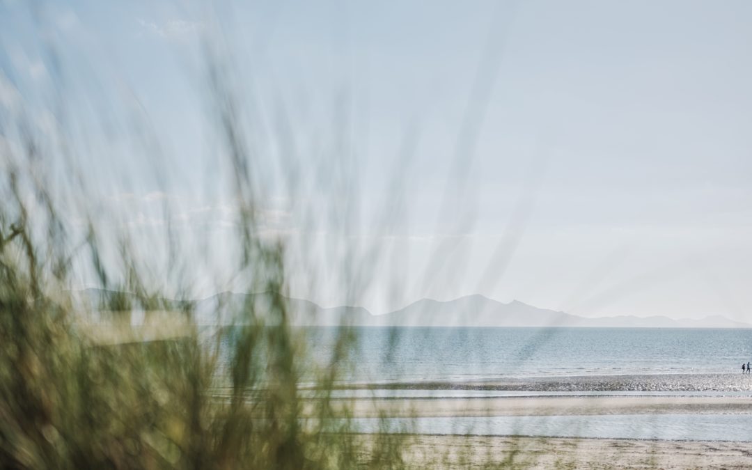 Marine Conservation Society