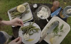 Ffa dringo wedi’u grilio gyda ricotta perlysiog