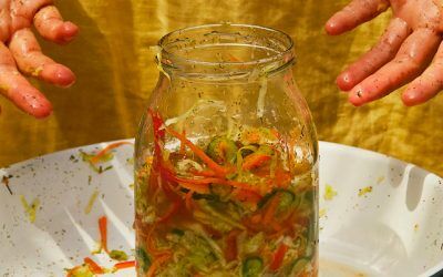 Alissa Timoshkina’s fermented slaw